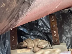 Inspeção integridade Manaus — Solutec-AM estruturas equipamentos AM